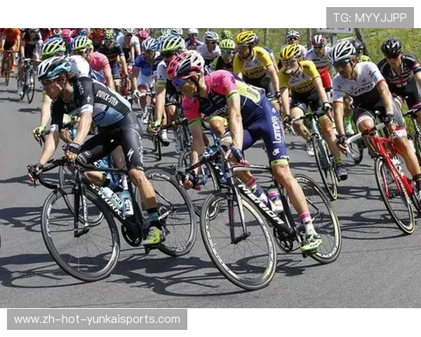 15年新款环意领骑衫出炉